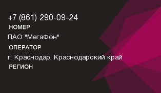 8612900924